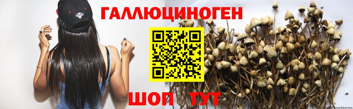 Галлюциногенные грибы MAGIC MUSHROOMS Жуковский